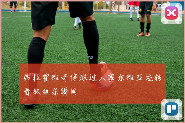 弗拉霍维奇停球过人塞尔维亚逆转晋级绝杀瞬间