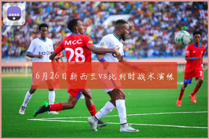 6月26日新西兰vs比利时战术演练