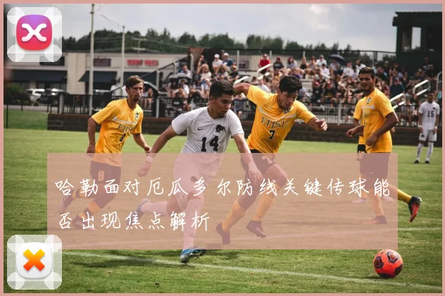 哈勒面对厄瓜多尔防线关键传球能否出现焦点解析