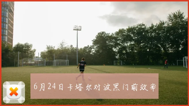 6月24日卡塔尔对波黑门前效率