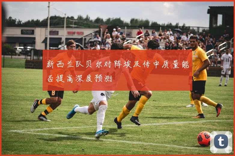 新西兰队贝尔对阵埃及传中质量能否提高深度预测