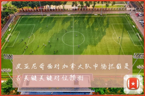 皮亚尼奇面对加拿大队中场拦截是否关键关键对位预测