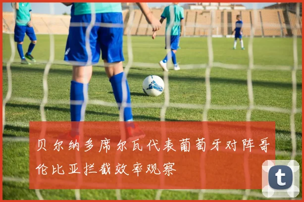 贝尔纳多席尔瓦代表葡萄牙对阵哥伦比亚拦截效率观察