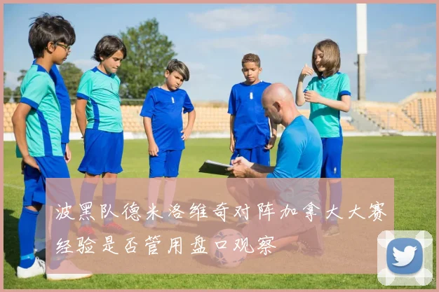 波黑队德米洛维奇对阵加拿大大赛经验是否管用盘口观察