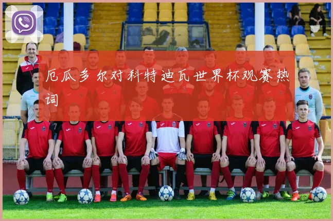 厄瓜多尔对科特迪瓦世界杯观赛热词